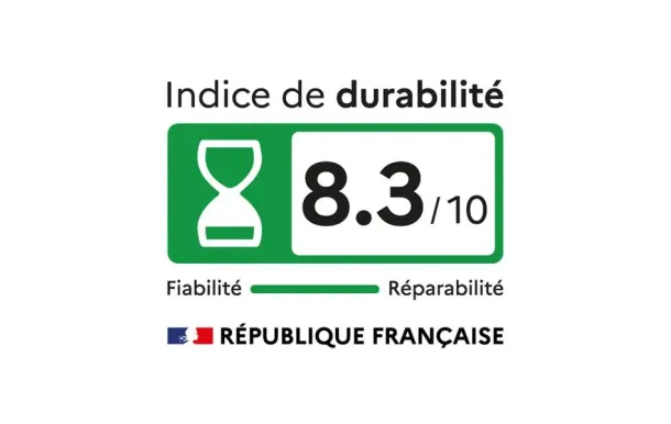 SAMSUNG Téléviseur UHD 4K SA TQ100QN80FUXXC